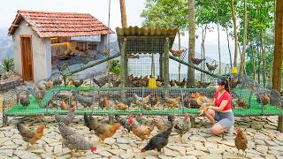 Building a Dream Chicken Coop! Creating a Beautiful Free-Range Chicken Farm in the Mountains