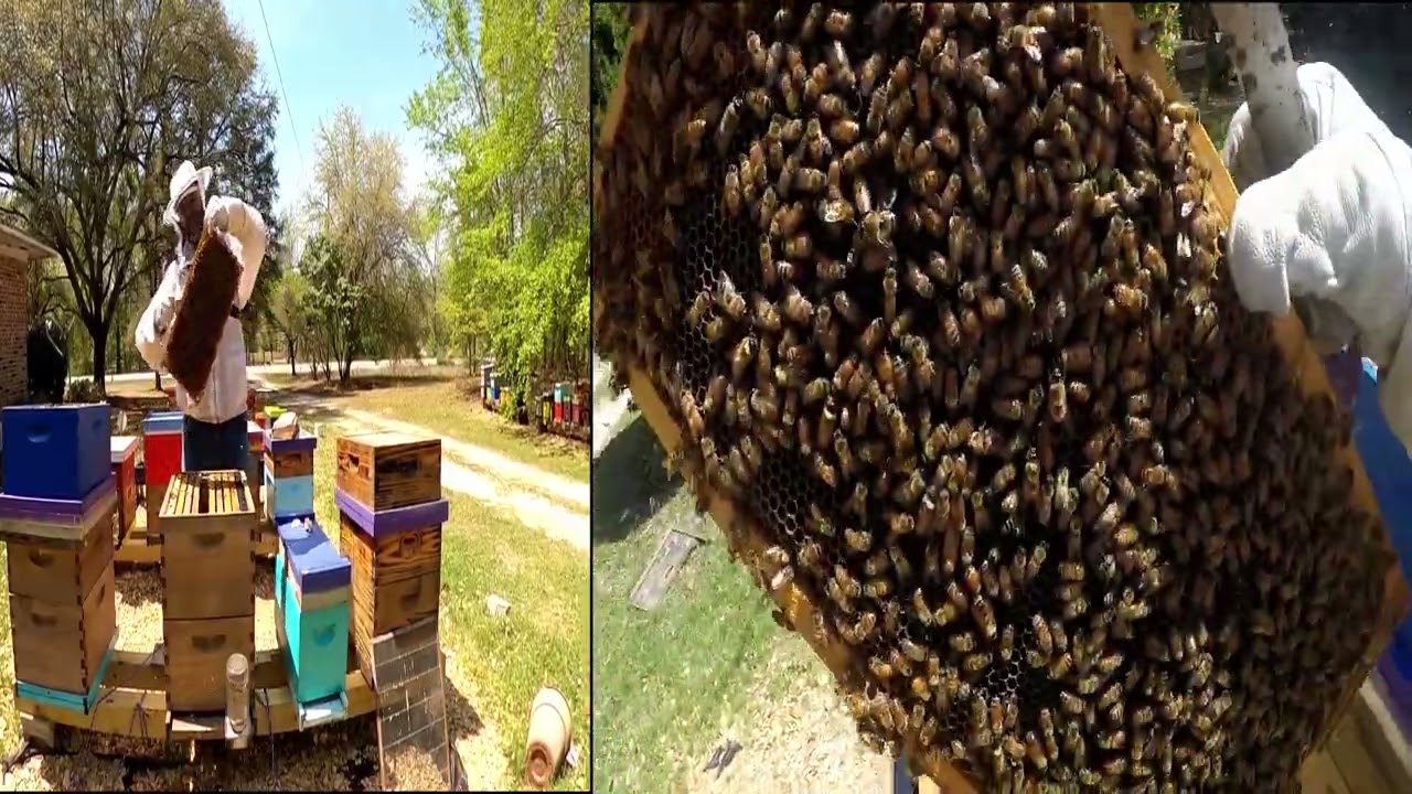 Начать 20-дневную проверку обновлений