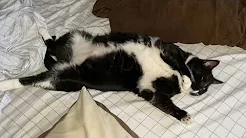 Linda’s interview day / My old stomping ground / Time After Time (1979) movie talk… Linda’s interview day / My old stomping ground / Time After Time (1979) movie talk… thumbnail