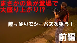 【実釣動画】陸っぱりからシーバスを狙う。前編