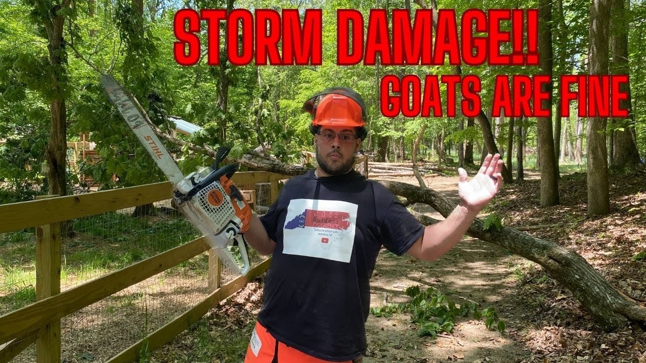 Storm Damage Clean Up! - YouTube