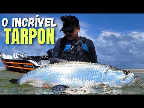 The Battle with the Great Tarpon - Fishing in Pará