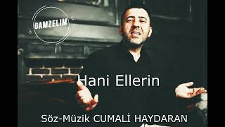 Gamzelim-İsmail Özcan&Ali Haydaran