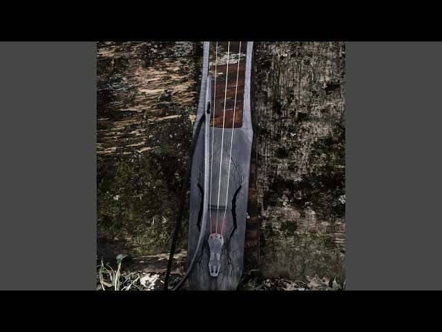 April bass talharpa two (fragility)