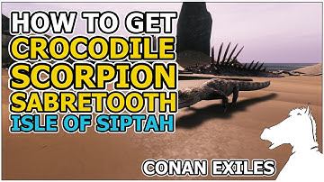 How to get pets: Crocodile, Scorpion, Sabretooth | Isle of Siptah | CONAN EXILES