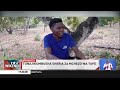 Vimbwanga Vya Wiki Sheria Za Mchezo Wa Tufe 