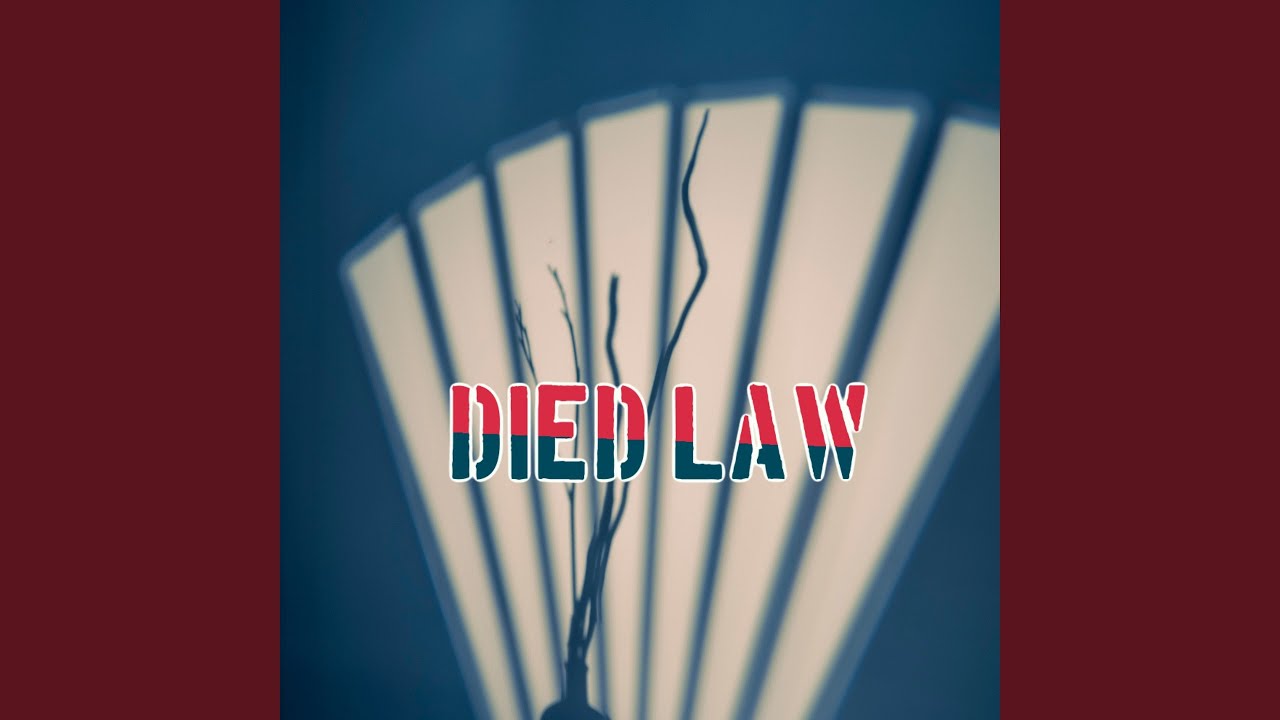 Guarda Strong She su YouTube Guarda Strong She su YouTube