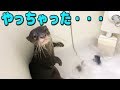カワウソしゃもじがお風呂の栓を抜いて絶体絶命！！