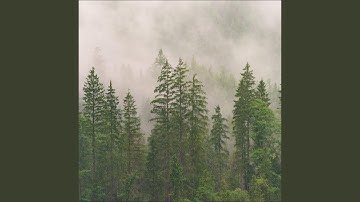 Thumbnail of A Piece of Memory