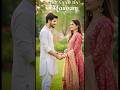 Teri Yaad Da Mausam | New Punjabi Romantic Song 2025 |#PunjabiRomanticSong #ViralLoveSong