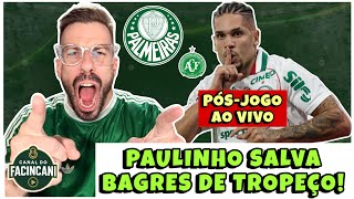 AO VIVO: PAULINHO SALVA ABEL E BAGRES DE PIPOCADA!🔥 PÓS-JOGO PALMEIRAS X CHAPECOENSE! 💚
