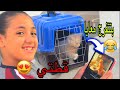 الأسطورة فجأني بالقطة اللي ماما رفضت تجبهالي