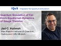Jad C. Halimeh: Quantum simulation of far-from-equilibrium dynamics of gauge theories