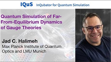 Jad C. Halimeh: Quantum simulation of far-from-equilibrium dynamics of gauge theories
