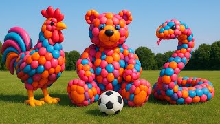 The Mascot Vibrato Assistant Cat Placed On The Football Field Is Popular, Co-Produced, And Creative