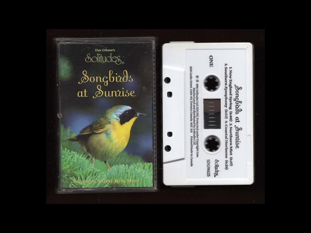Dan Gibson's Solitudes - Birds