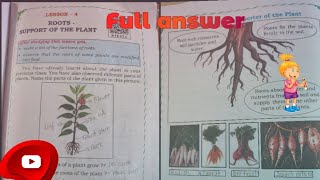 ||4th STD EVS|| lesson -4 Roots-Support Of The Plant||full answer 🐼