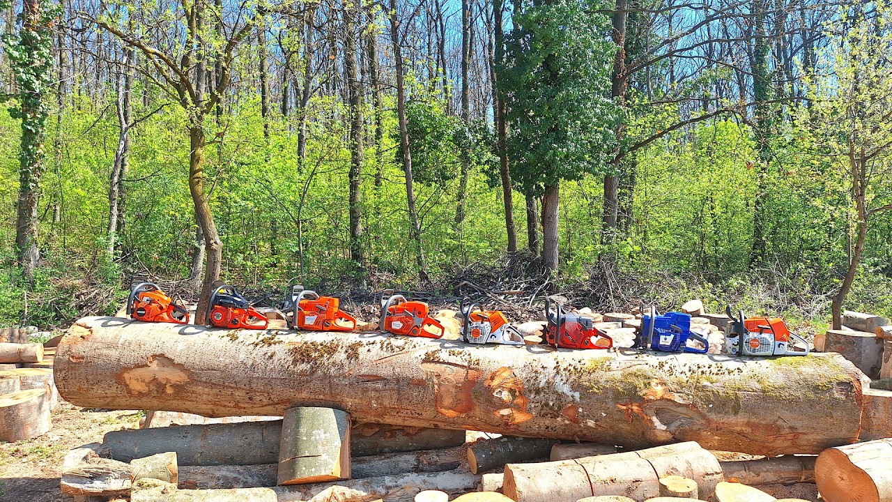 From 50 to 120cc - one log and 8 chainsaws (MS 881, H572xp, H365SP