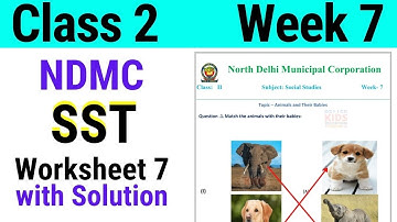 NDMC Class 2 SST Week 7 Worksheet 7 (16/7/21) || worksheet 7 Class 2nd sst