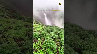 Aadrai Jungle Trek, Maharashtra