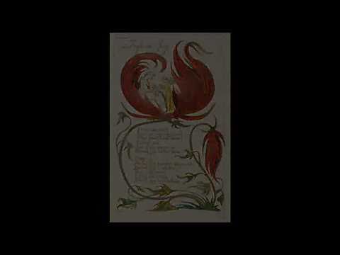 Songs of Innocence and of Experience - William Blake