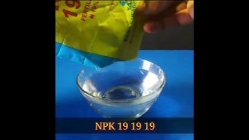 Amazing Inventions that will Change Your Life #shorts