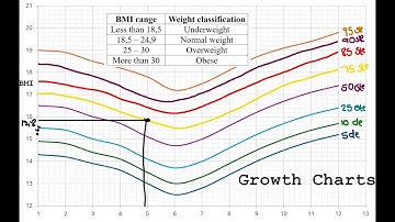 BMI and growth charts Gr11& 12 Maths Lit