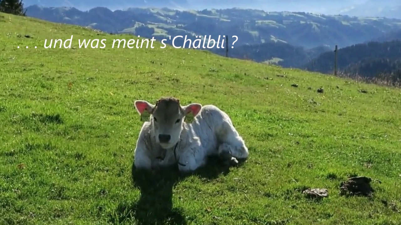 Emmentaler Gratwanderung  /  Lüderenalp - Napf - Mettlenalp  /// 29. Okt. 2016