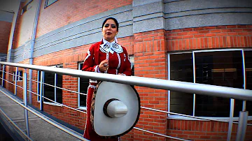 MI PROPIEDAD PRIVADA - MARIACHI MONTERREY - 2014