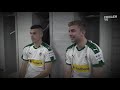 Die Fohlen wünschen Frohe Weihnachten