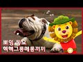 [뽀잉동요] - 헥헥그릉메롱끼끼 (Puff Puff Purr Purr) | 인기동요 | Nursery Rhymes