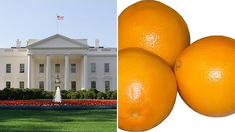ORANGE MENACE APPOINTED FBI OFFICIAL MAY RESIGN OVER EPSTIEN FILES CLASH?YOUR PENDULUM QUESTIONS?