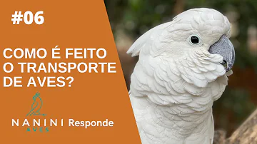 Como deve ser feito o transporte de aves?