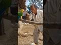 parrot sad story 😭 farmer don't like him 😢 4k HDR edits 🔥 #viral #ai #shorts