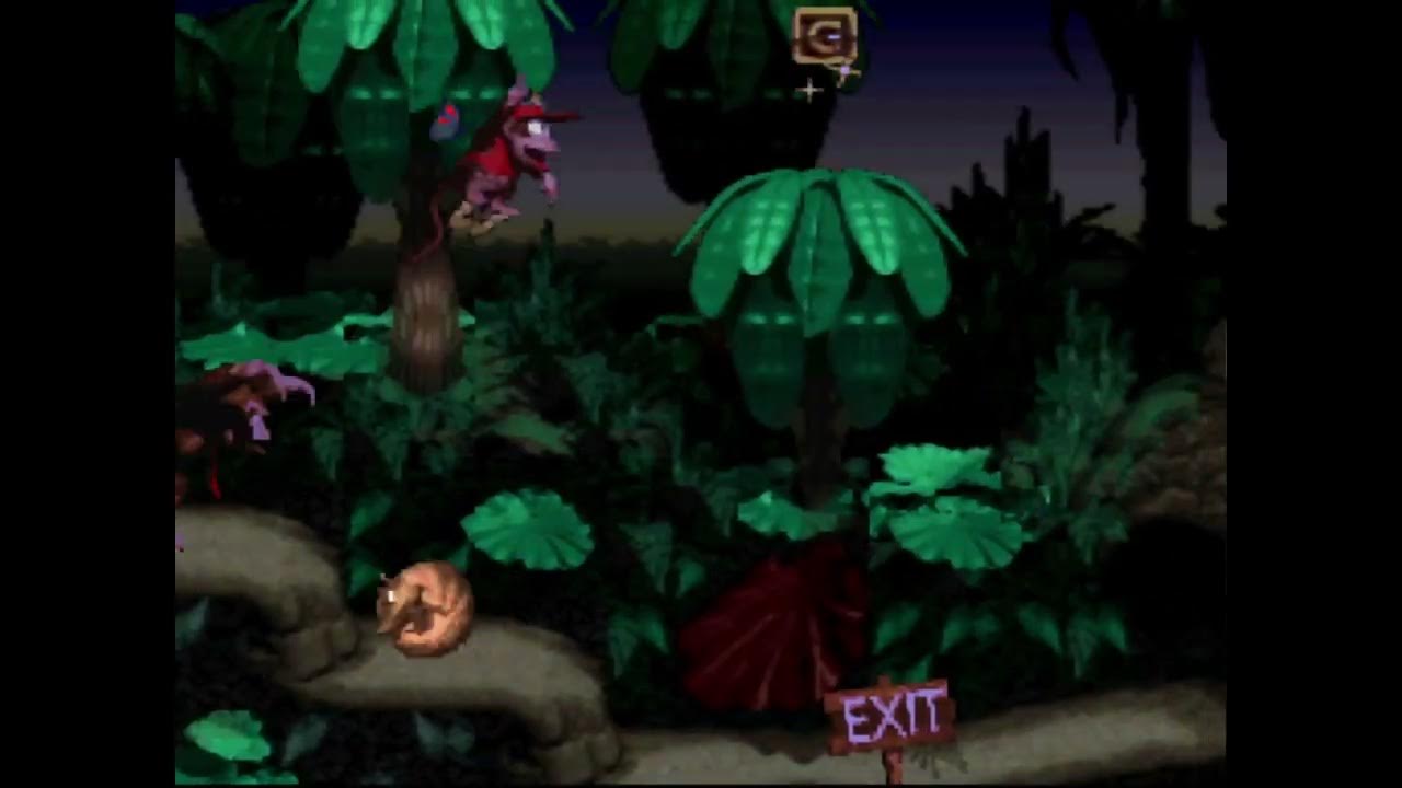 [SNES] Donkey Kong Country 1 02 Ropey Rampage YouTube