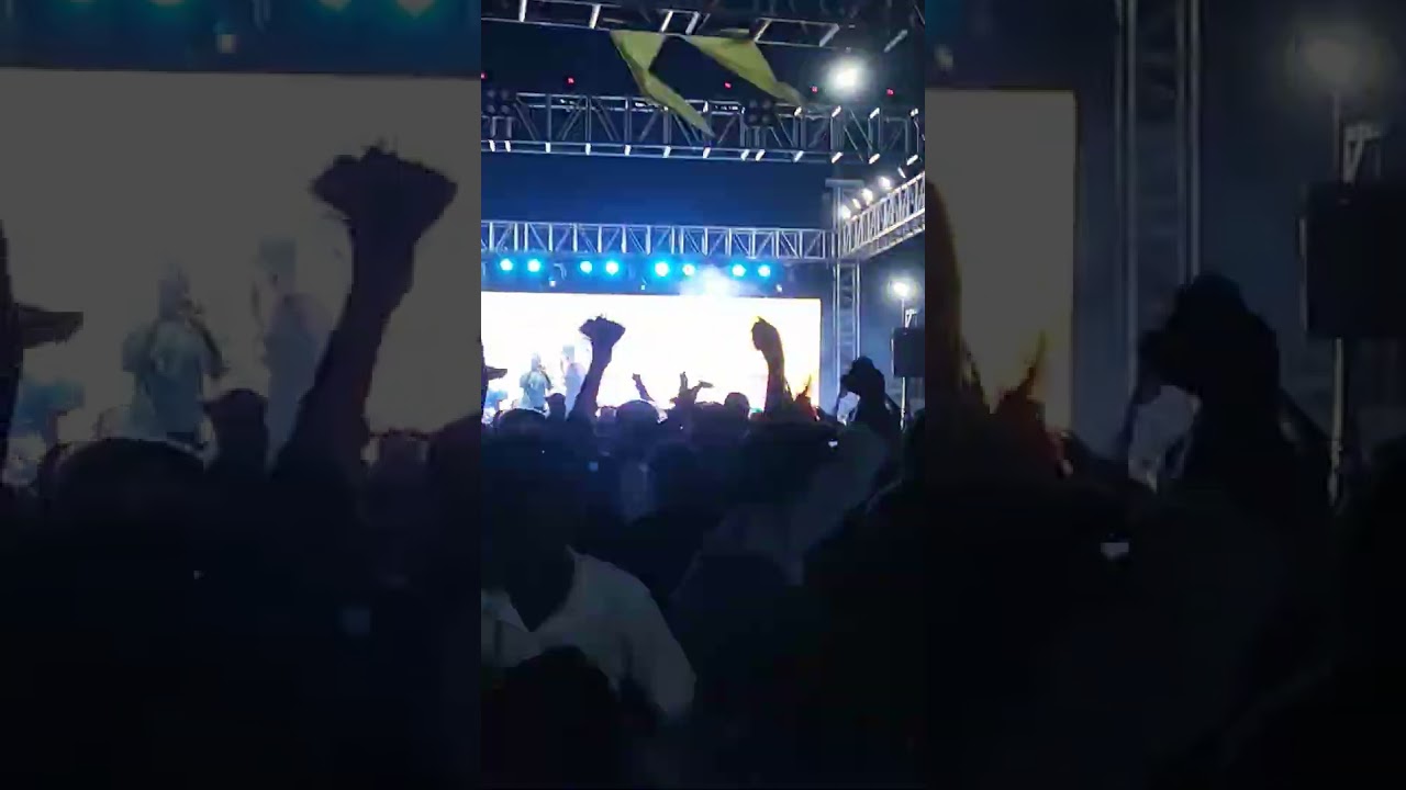 Beach Festival at Marina beach Chennai | 