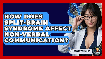 How Does Split-brain Syndrome Affect Non-verbal Communication? - Strange Science HQ
