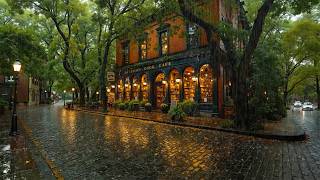 Deep & Smooth Jazz at a Rainy Bookstore Café Street 🌧️ Cozy Ambience for Reading ,Focus & Calm Mind☕
