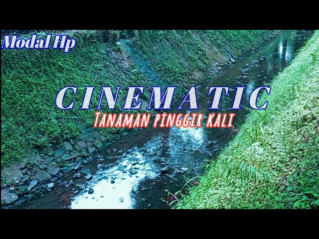 Cinematic Video Tanaman pinggir kali | Cinematic modal Hp class=