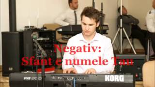 Viorel Muresan Negativ Sfant e numele Tau (toflea)