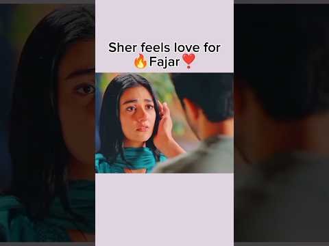 Sher Feels Love For Fajar Sara Khan Danish Taimoor Sher Viralvideo Trending