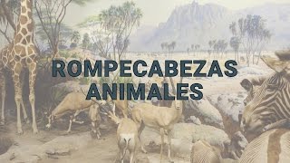 Rompecabezas: Animales screenshot 3