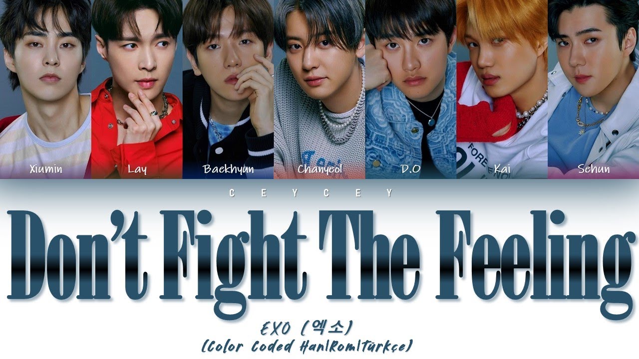 EXO (엑소) - 'DON'T FIGHT THE FEELING' [HAN|ROM|TÜRKÇE ALTYAZILI]