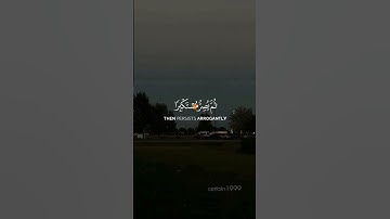 ما تيسر من سورة الجاثية #اكسبلور