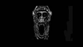 GORILLA TAG GHOST COMPILATION PART 8 [INSANE]