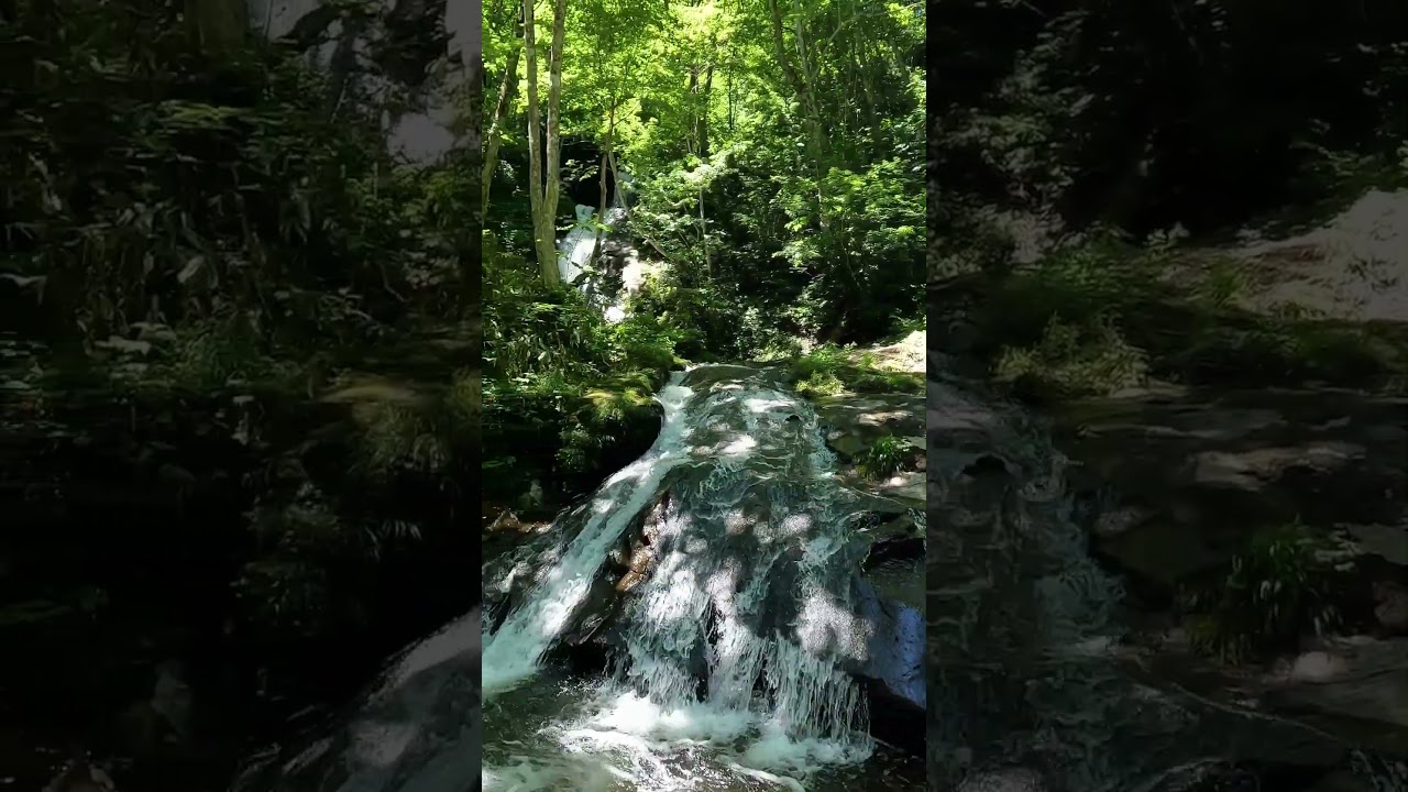 滝 中国地区滝百選の旅