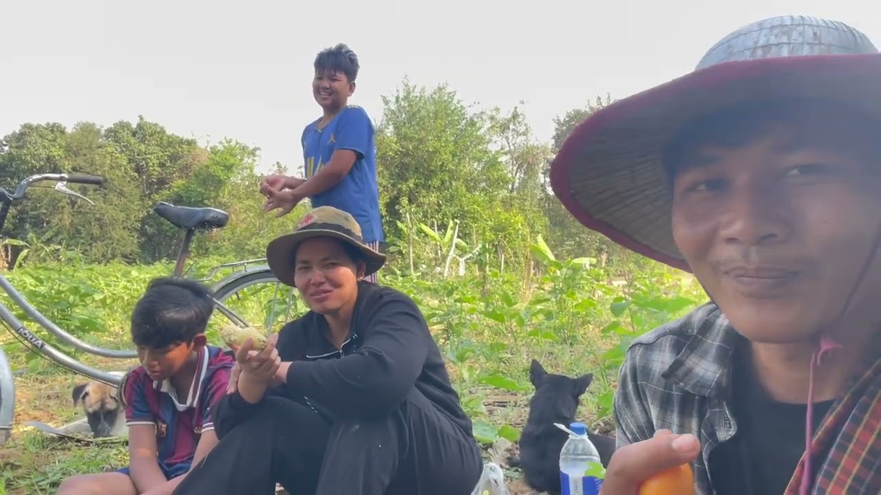 Family Day in the Garden! Tasting Our Sweet Corn