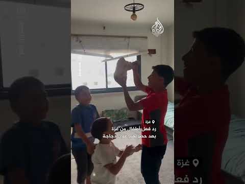 شاهد| رد فعل أطفال من غزة بعد حصولهم على دجاجة
