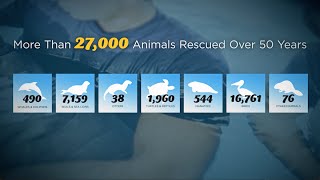 In 2015, SeaWorld Marks 27,000 Rescues