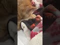 Nicky N is live!
